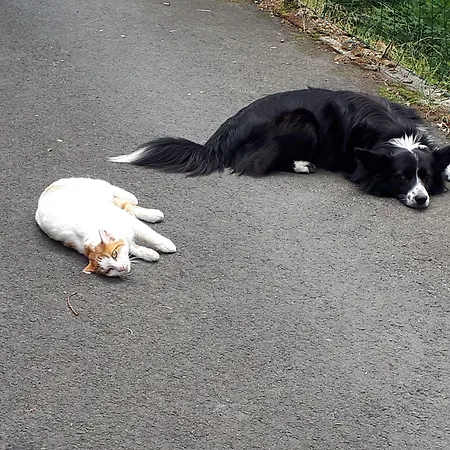 Le Grand Val 3* Lavastrie