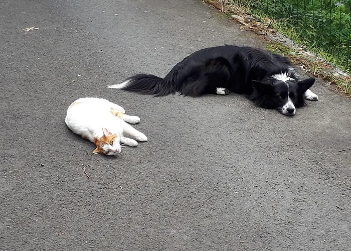 Le Grand Val 3* Lavastrie